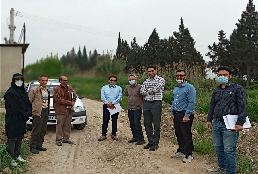 بازدید کارشناسان موسسه تحقیقات ثبت و گواهی بذر و نهال کشور